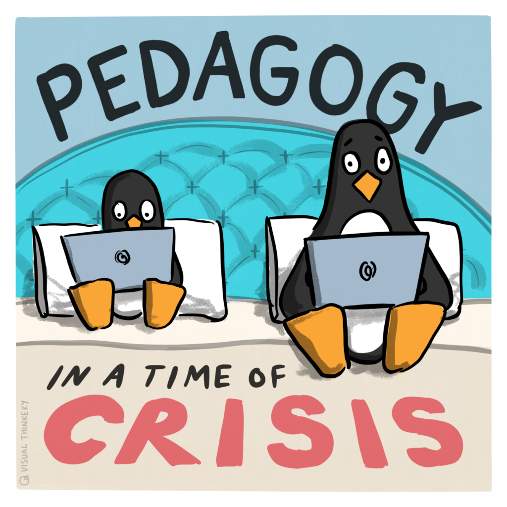 The Pedagogy of Crisis